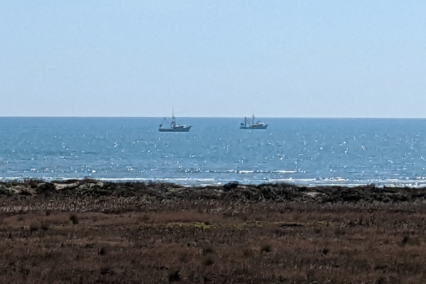 View From the Condo Balcony