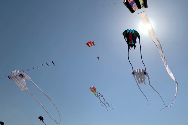 Kite's on the Beach Next to Pointe West