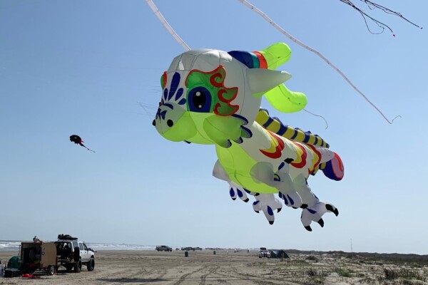 Kite's on the Beach Next to Pointe West