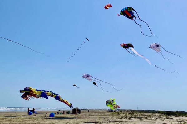 Kites on the Beach Next to Pointe West