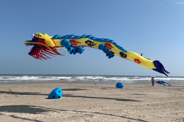 Kite's on the Beach Next to Pointe West