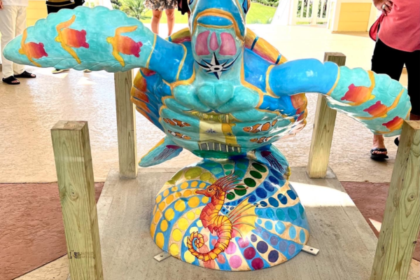 PointeDexter - Pointe West's Own "Turtle About Town"