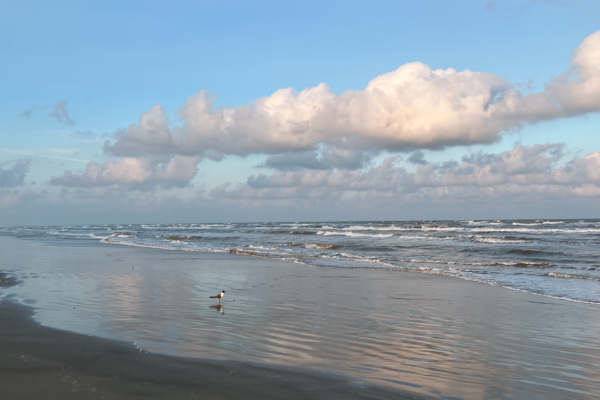 Pointe West Beach - Over 1 Mile Long, No Drive Beach