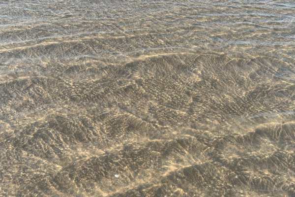 The Beautiful Waters of the Gulf at Pointe West Beach