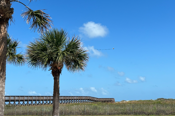 Walkover to the Beach