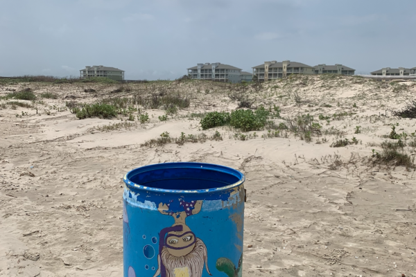 This is Part of Galveston's "Beautify The Bucket" Program