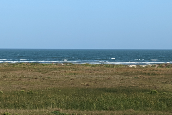 View From the Condo Balcony