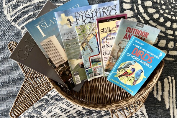 Information On Activities, Fishing, Birding & Shelling